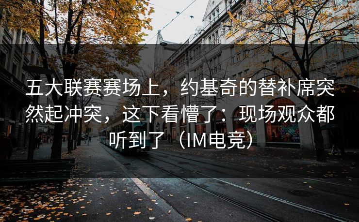 五大联赛赛场上，约基奇的替补席突然起冲突，这下看懵了：现场观众都听到了（IM电竞）