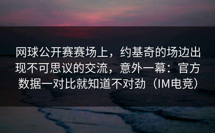 网球公开赛赛场上，约基奇的场边出现不可思议的交流，意外一幕：官方数据一对比就知道不对劲（IM电竞）